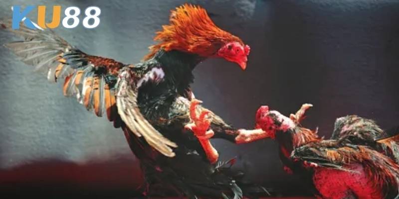 Một điểm minh bạch là bảo mật dữ liệu tuyệt mật